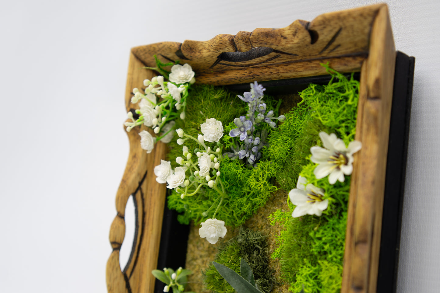 Wildwood Window