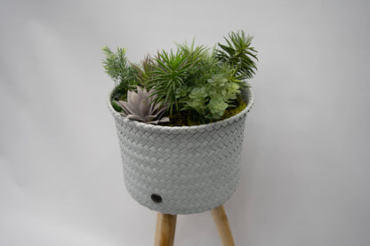 The Botanical Stand