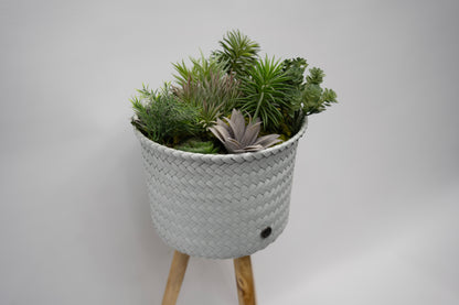 The Botanical Stand