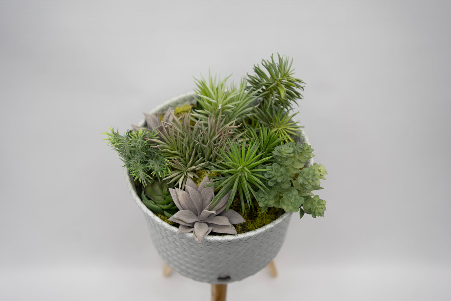 The Botanical Stand