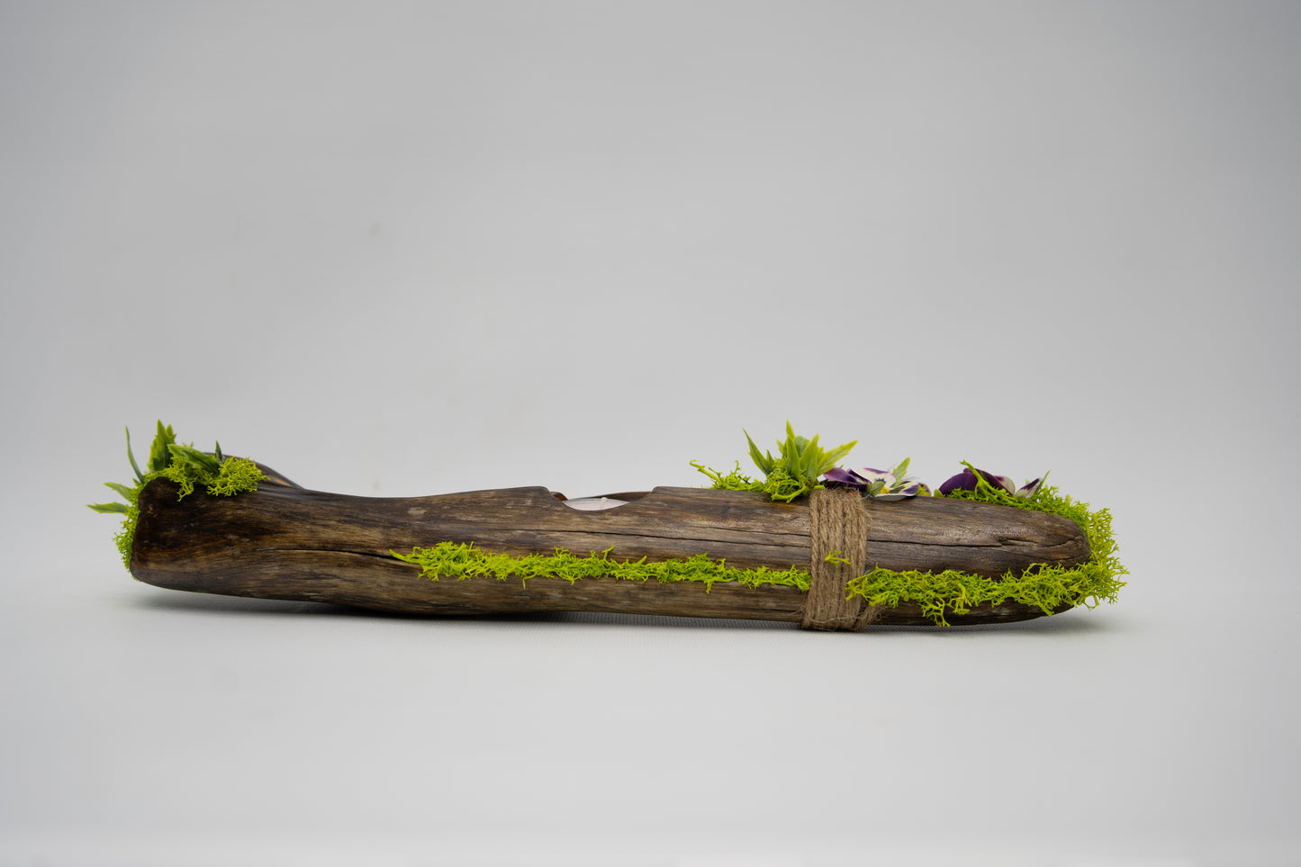 The Moss Ledge