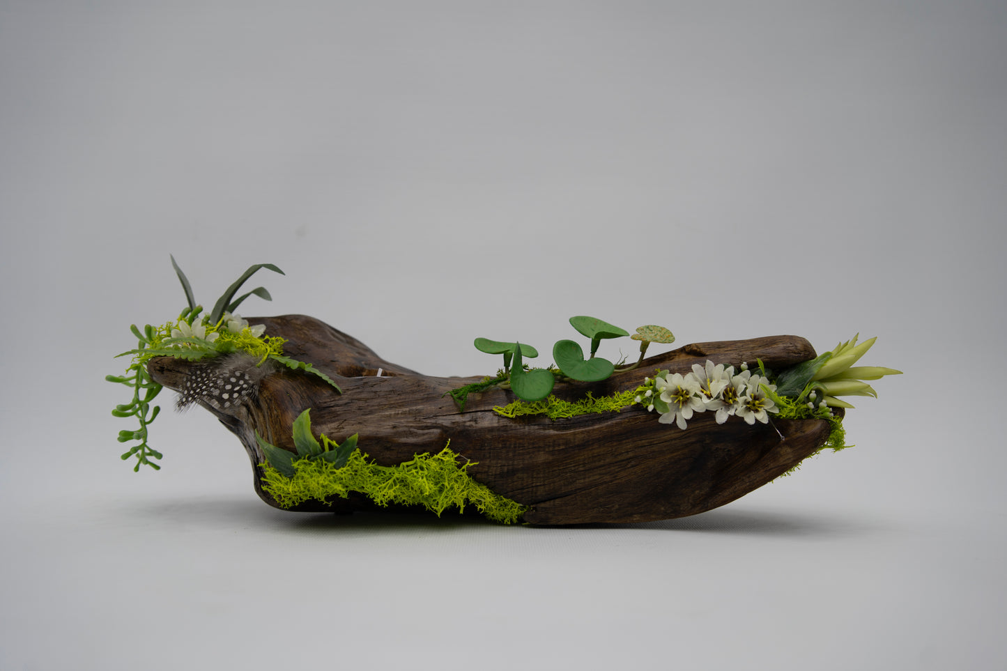Driftwood Bloom