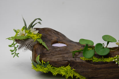 Driftwood Bloom