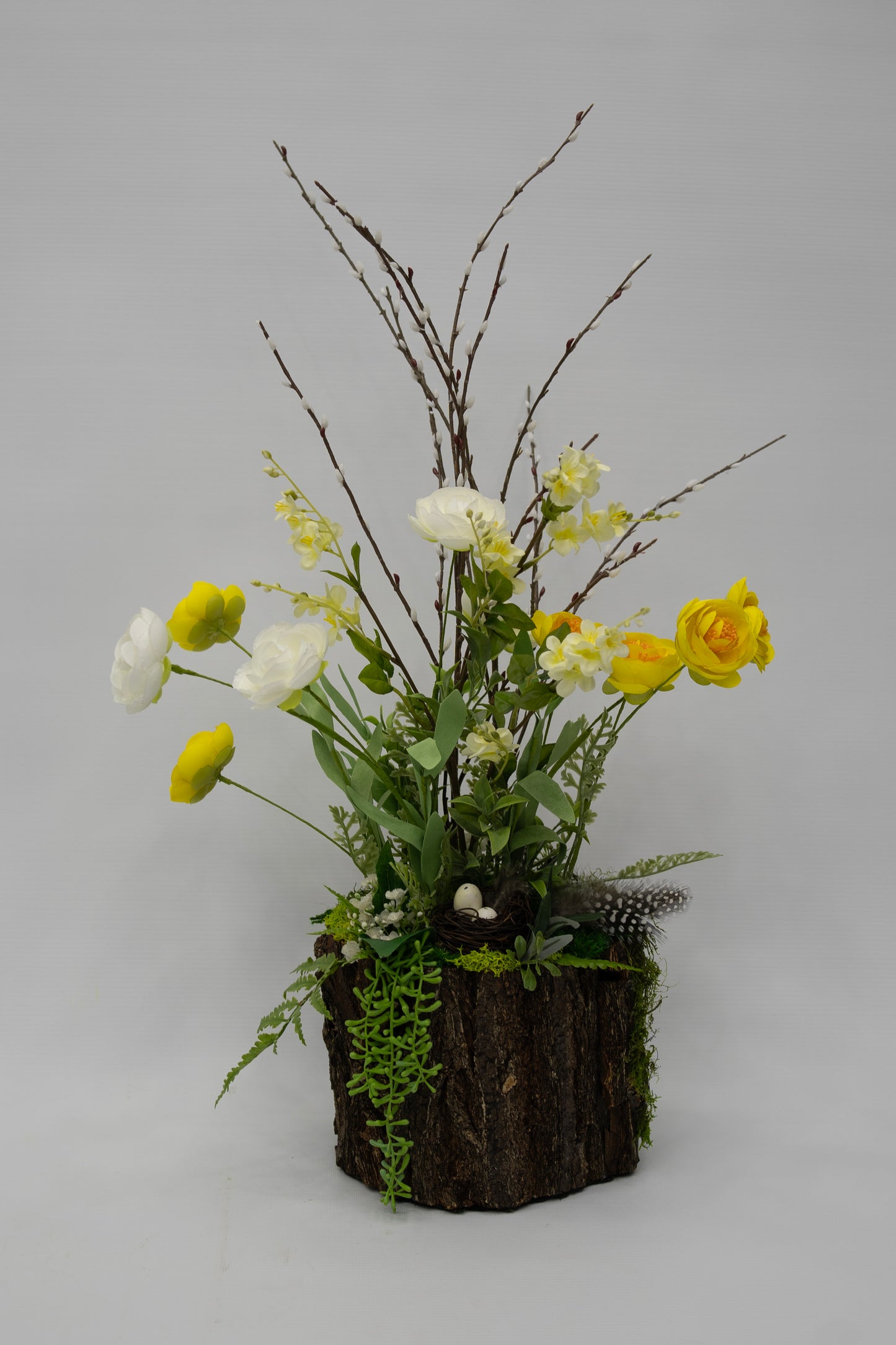 Springrise