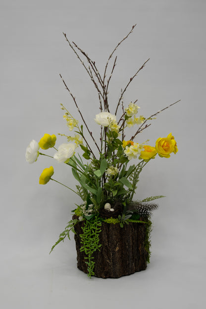 Springrise