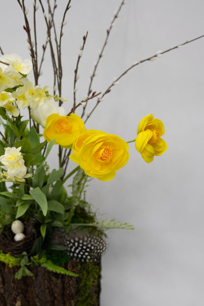 Springrise