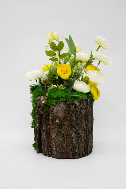 Woodland Nest