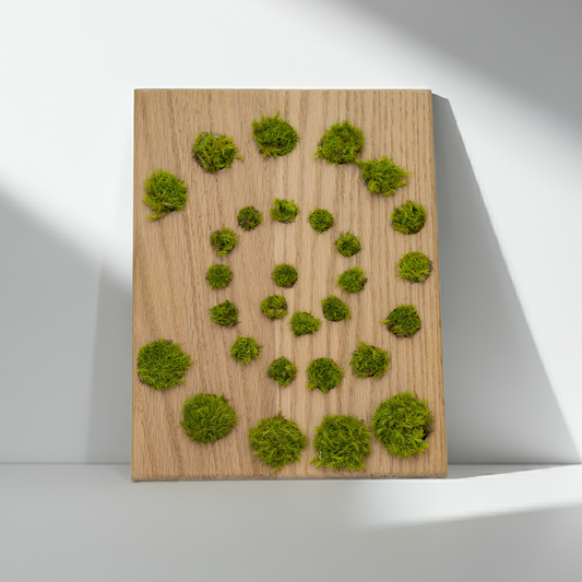 Moss Path