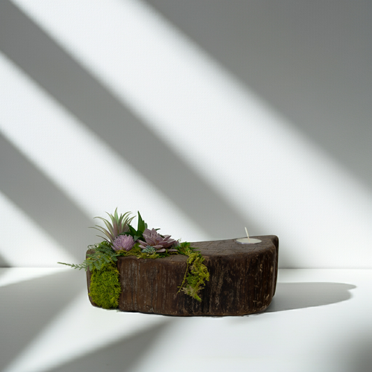 Still Candle Holder